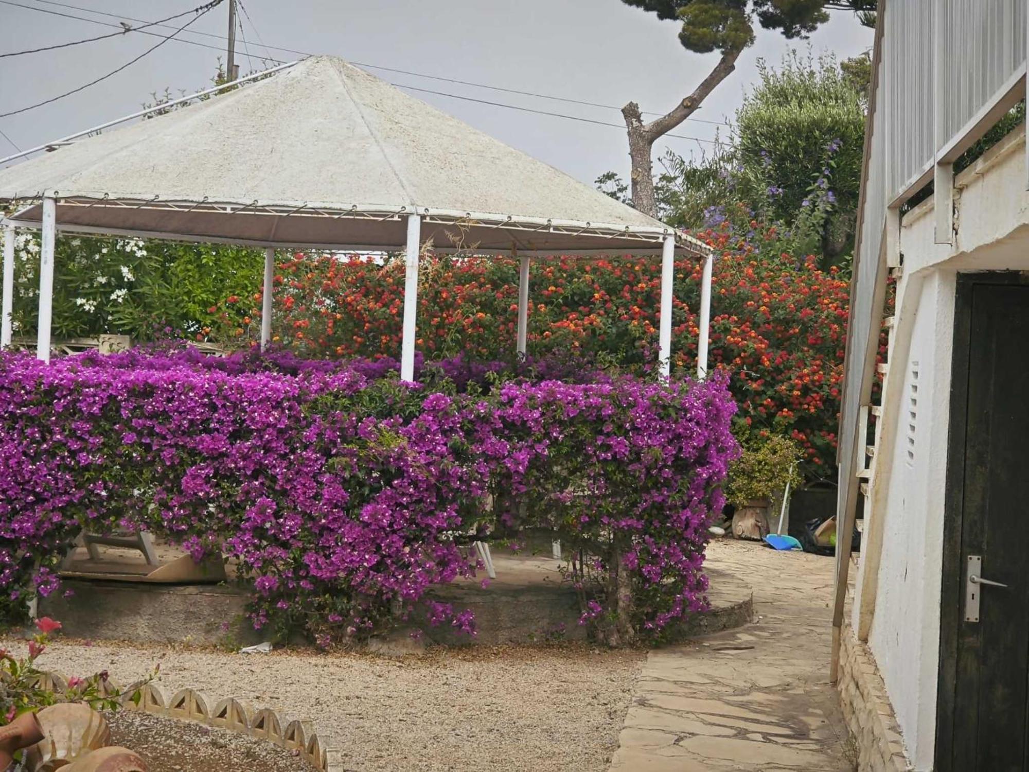 Casa Geminis Vinaros Apartment ภายนอก รูปภาพ